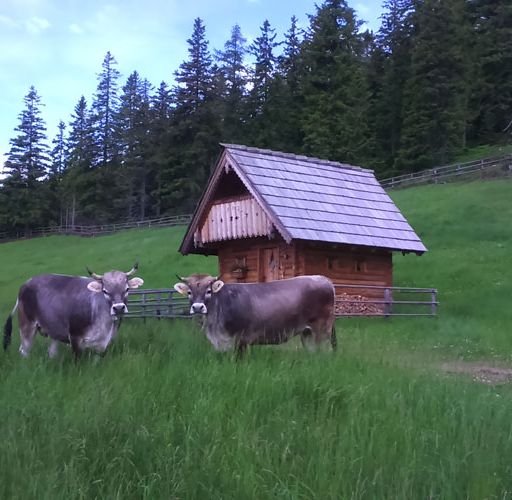 Kronaushof | St. Corona am Wechsel
